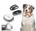 Pet Locator Device